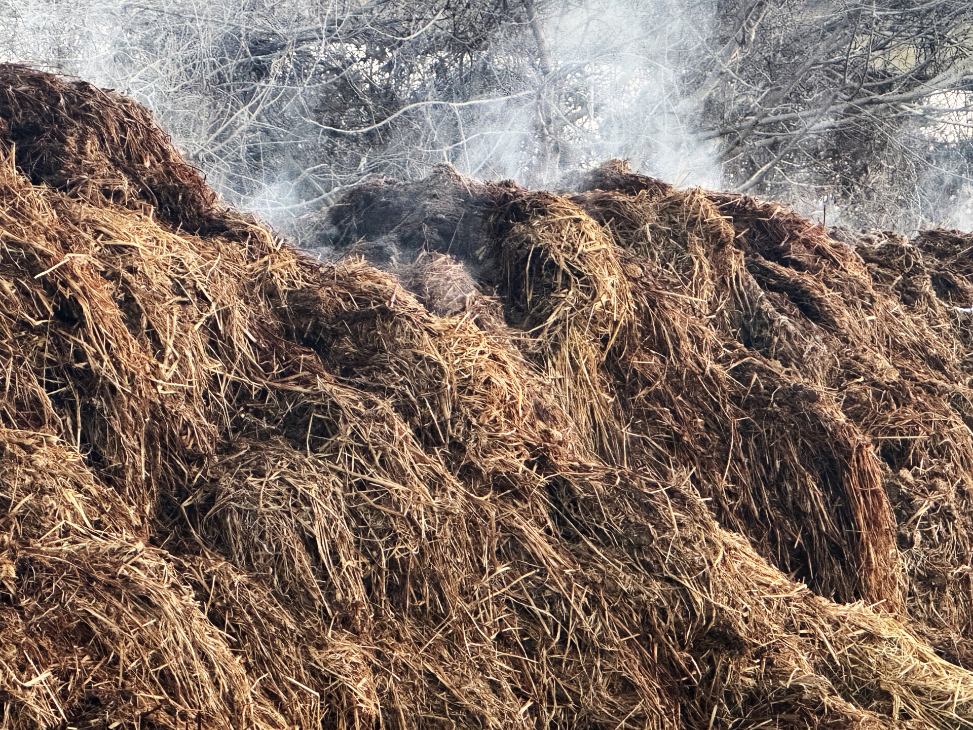 豊かな土のイメージ