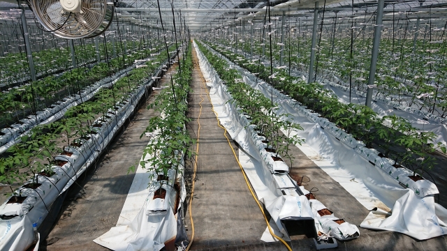 清らかな水のイメージ