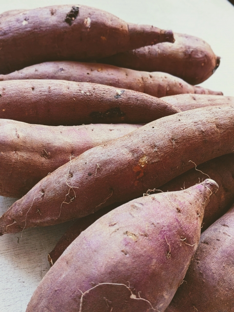 収穫されたさつまいも